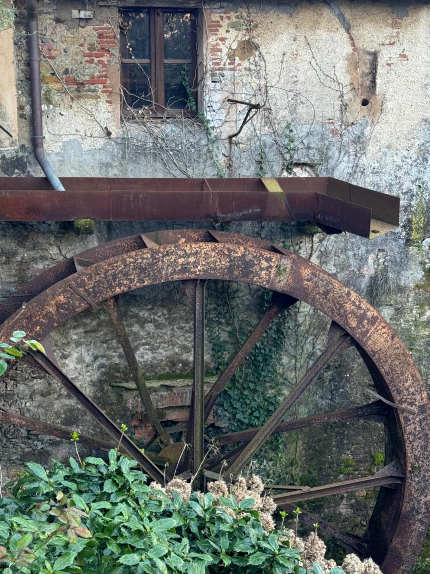 Holiday home Tuscany Secret Garden In Versilia