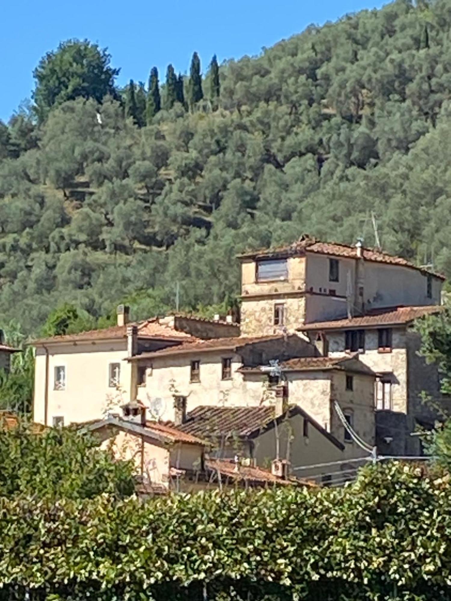 Tuscany Secret Garden In Versilia