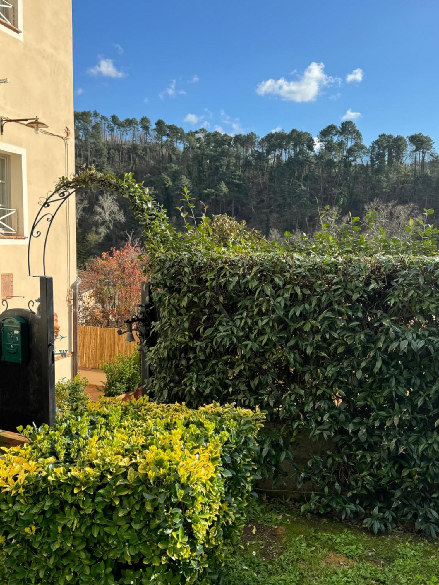 Holiday home Tuscany Secret Garden In Versilia Camaiore