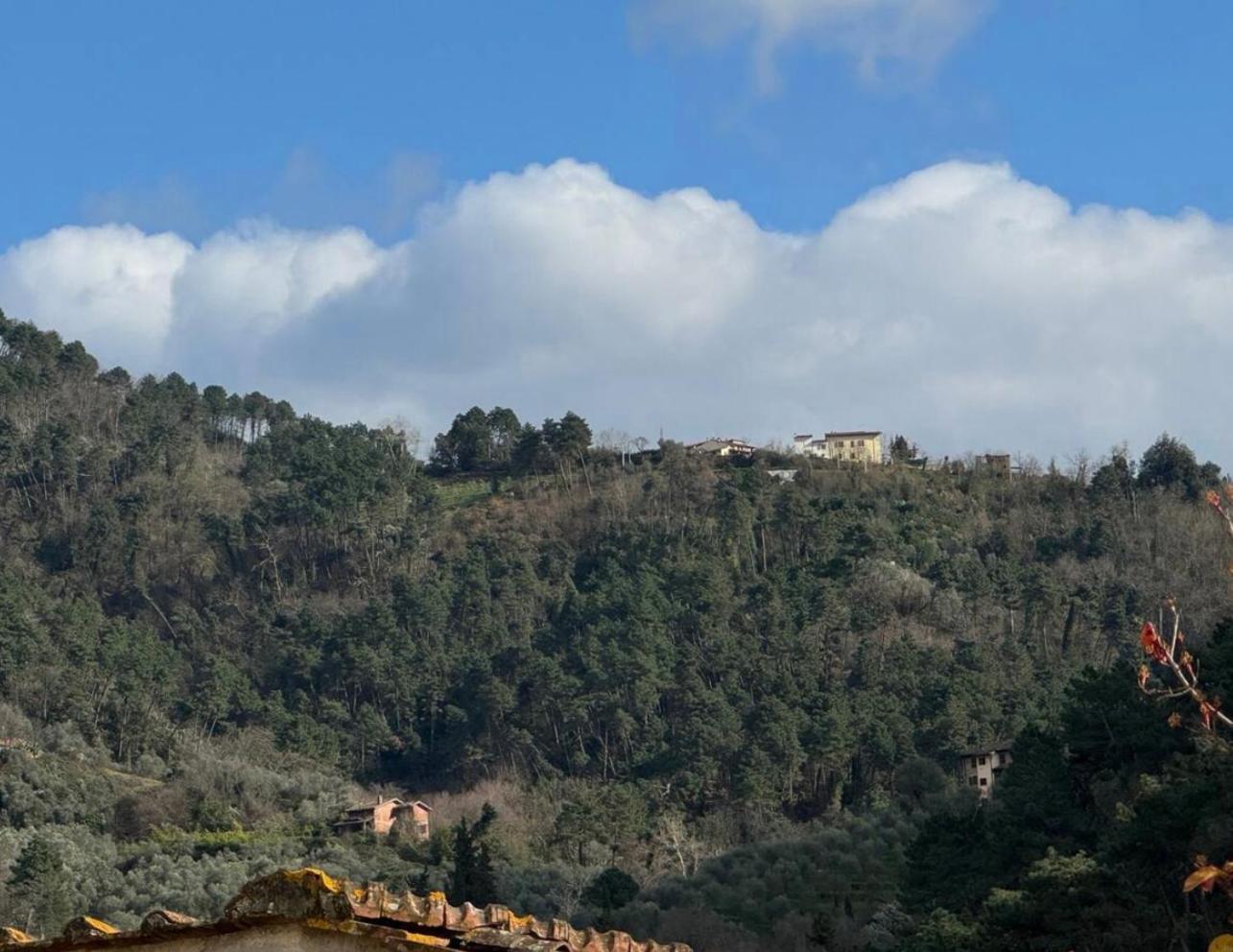 Holiday home Tuscany Secret Garden In Versilia *