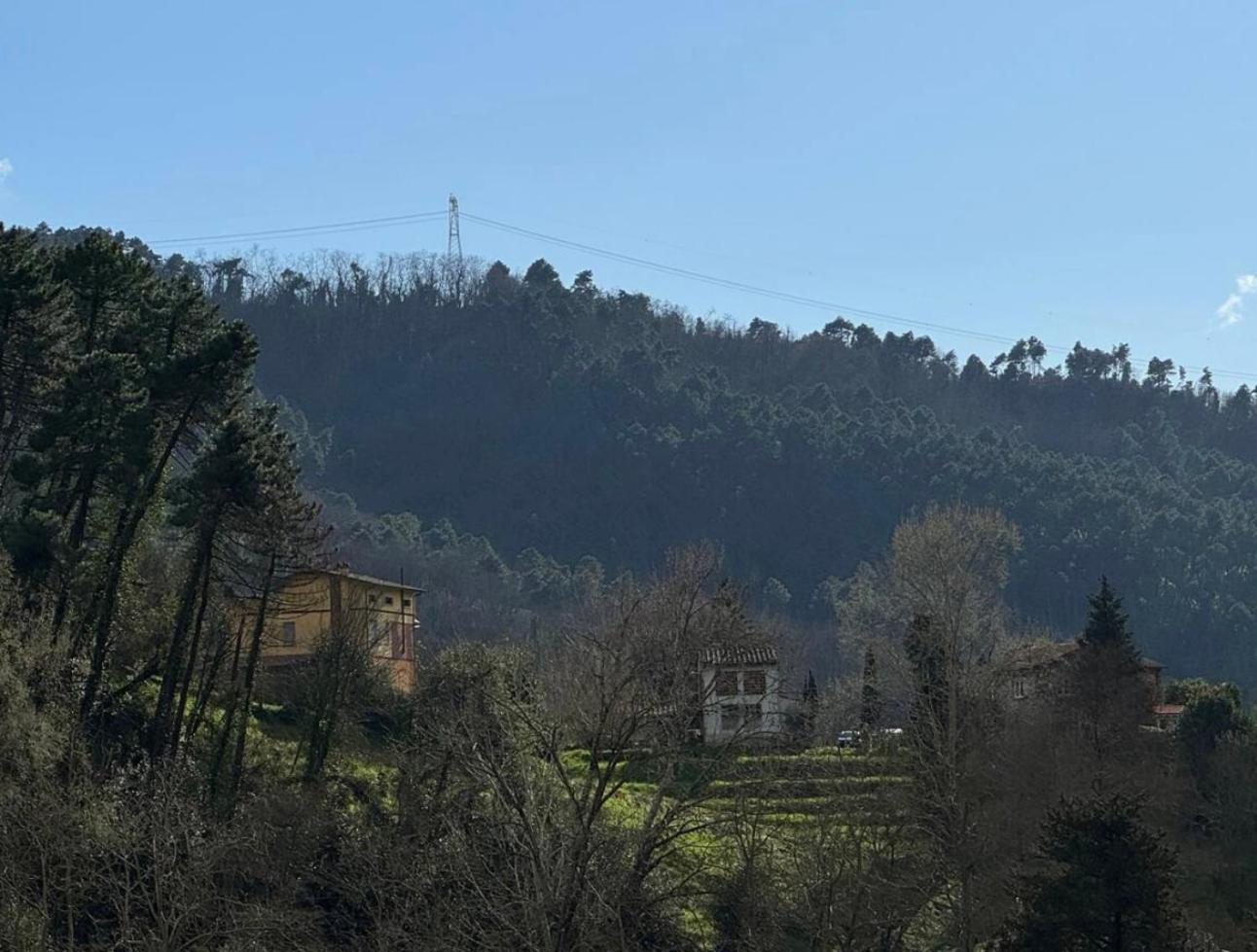 Tuscany Secret Garden In Versilia Camaiore