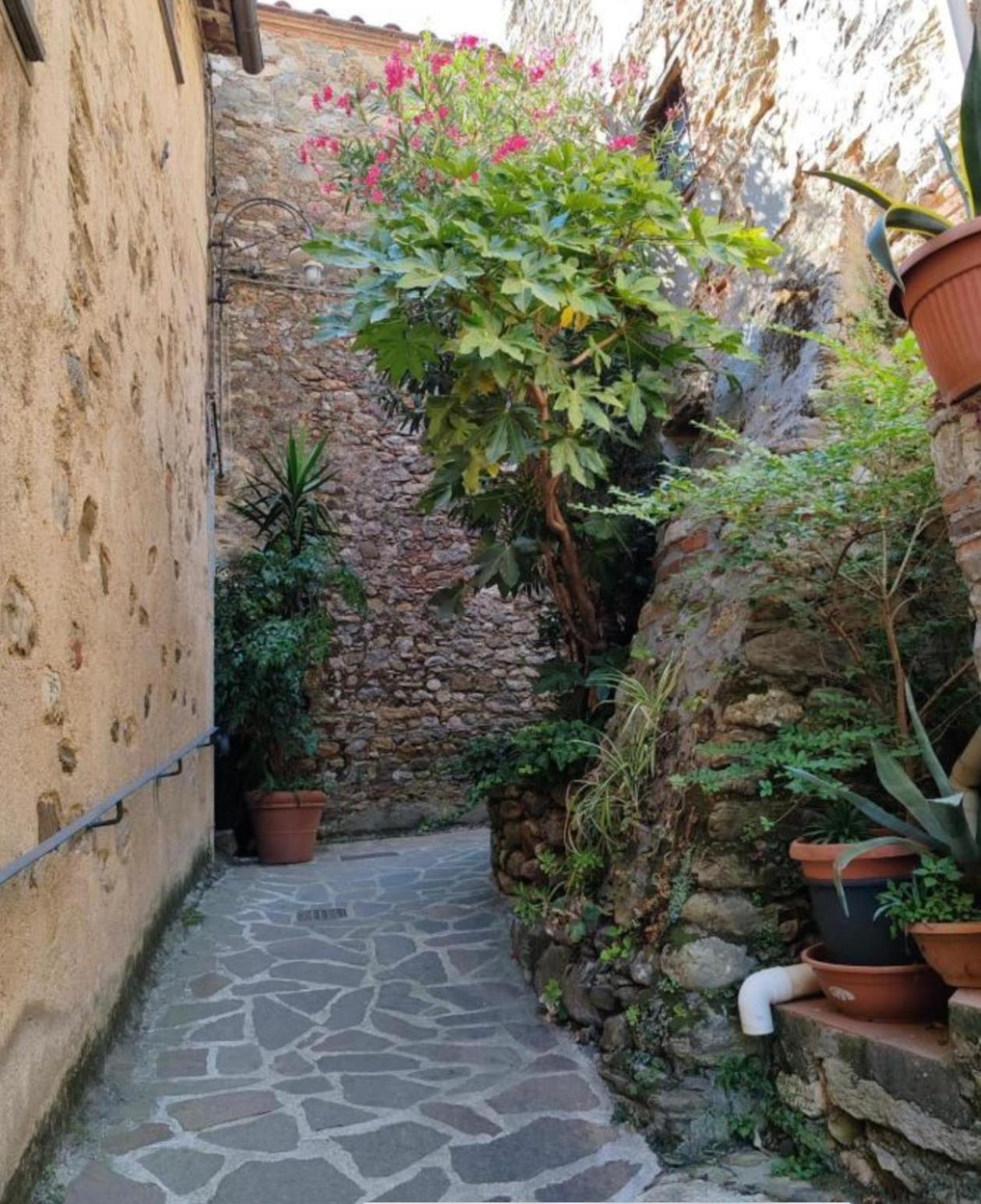 Tuscany Secret Garden In Versilia * Camaiore